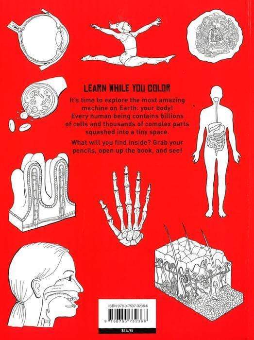 Color + Learn: Human Body For Sale