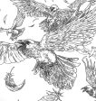 Beasts Of Tolkien A Colouring Book Online