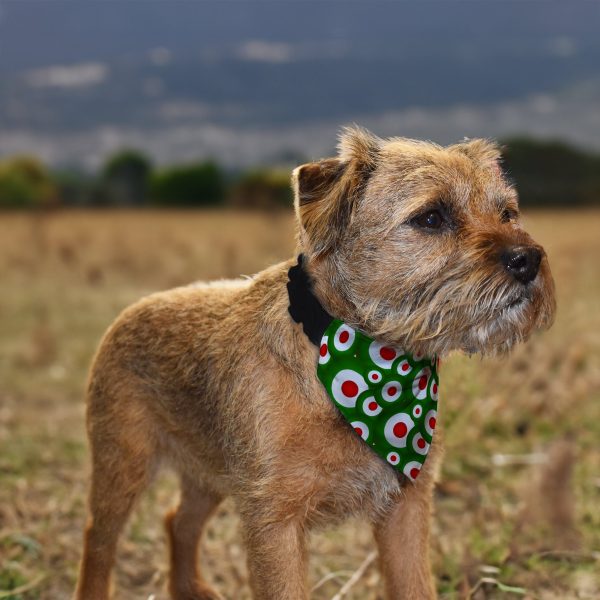 MOD - Green - Dog Bandana - 4 Sizes For Cheap