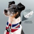 Skinhead Girl Union Jack - Dog Bandana - 4 Sizes Online now