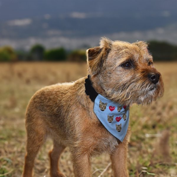 Pet Face Pattern - Custom Any Colour - Personalised Dog Bandana - 4 Sizes For Sale