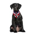 Skinhead Girl Union Jack - Dog Bandana - 4 Sizes Online now