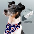 MOD - Blue - Dog Bandana - 4 Sizes on Sale