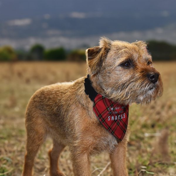 Just Here For The Snacks - Red Tartan - Dog Bandana - 4 Sizes on Sale