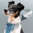 Dogtor - Dog Bandana - 4 Sizes Fashion