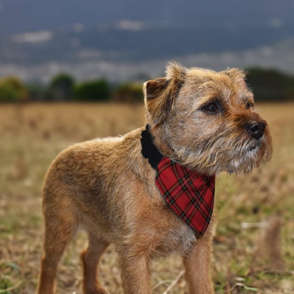 Red Tartan - Dog Bandana - 4 Sizes Sale