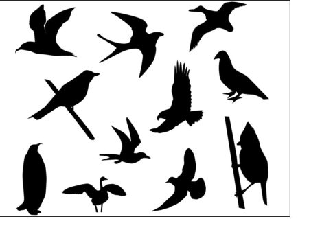 Black Silhouette A4 Edible Fondant Icing Sheets - Birds Fashion