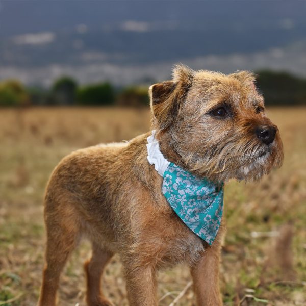 Blue Hibiscus Hawaiian - Dog Bandana - 4 Sizes Hot on Sale