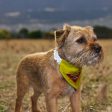 Scotland The Brave - Dog Bandana - 4 Sizes Cheap