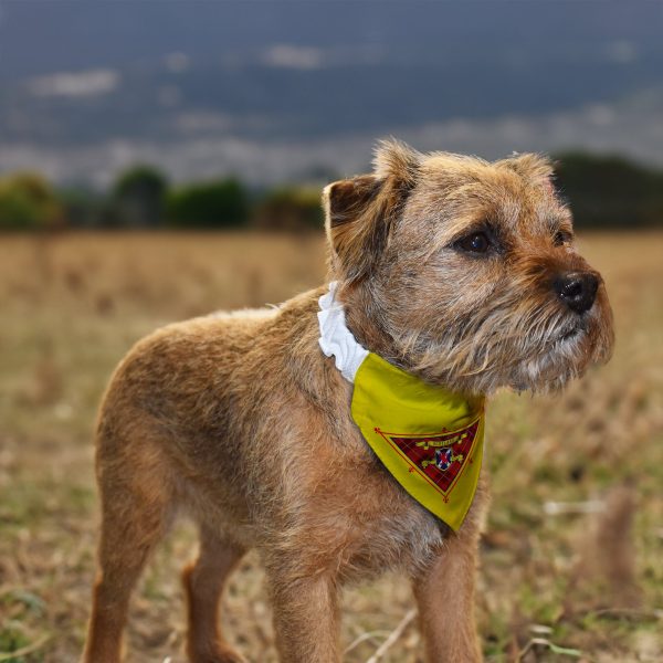 Scotland The Brave - Dog Bandana - 4 Sizes Cheap