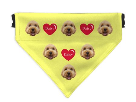 Pet Face Pattern - Custom Any Colour - Personalised Dog Bandana - 4 Sizes For Sale