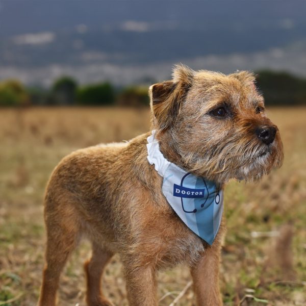 Dogtor - Dog Bandana - 4 Sizes Fashion