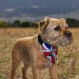 Skinhead Girl Union Jack - Dog Bandana - 4 Sizes Online now