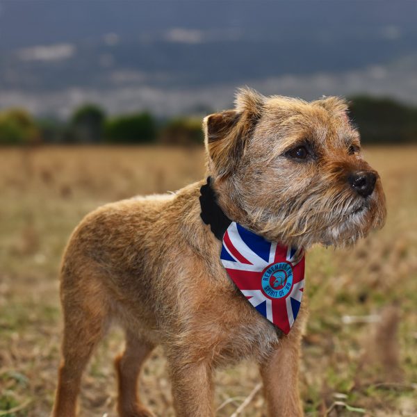 Remember The Spirit Of 69 - Blue - Dog Bandana - 4 Sizes For Discount