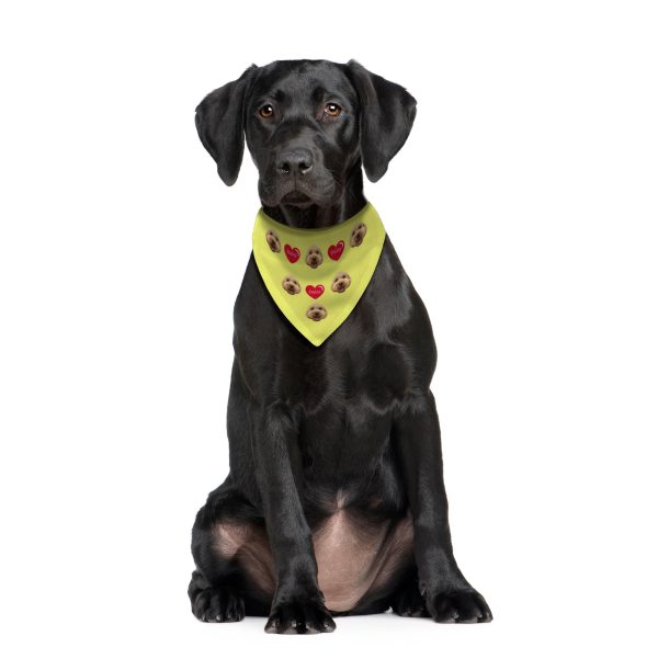 Pet Face Pattern - Custom Any Colour - Personalised Dog Bandana - 4 Sizes For Sale