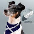 Scottish Saltire - Dog Bandana - 4 Sizes Cheap