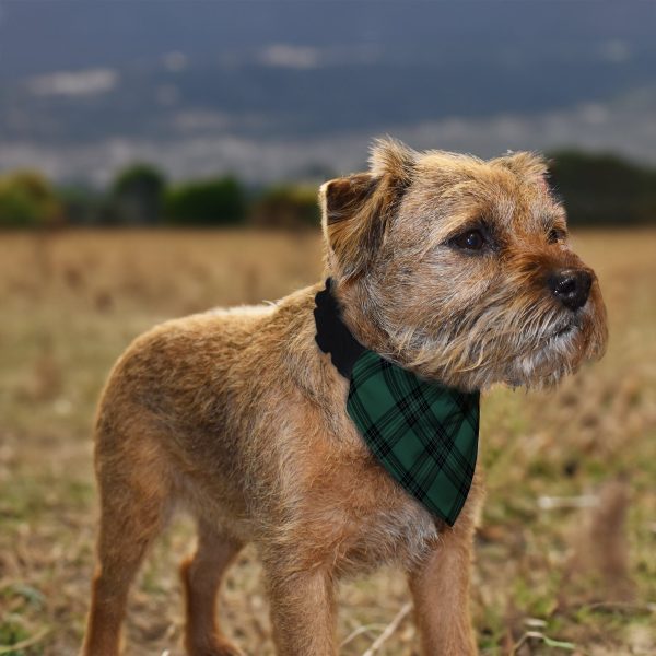 Green Tartan - Dog Bandana - 4 Sizes Online Hot Sale