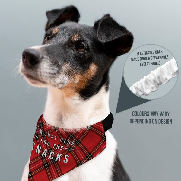 Just Here For The Snacks - Red Tartan - Dog Bandana - 4 Sizes on Sale