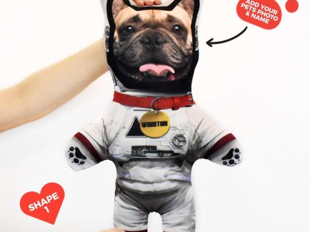 Astronaut - Personalised Pet Mini Me For Sale