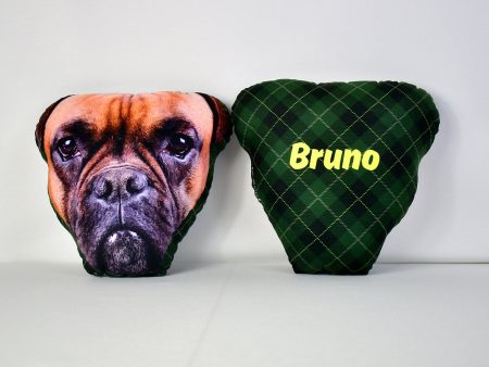 Pet Face Cushion - Green Tartan Online now