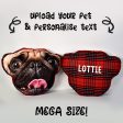 Mega Pet Face Cushion - Red Tartan Supply