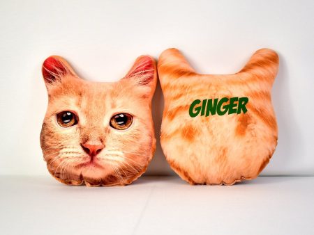 Pet Face Cushion - Ginger Fur Online